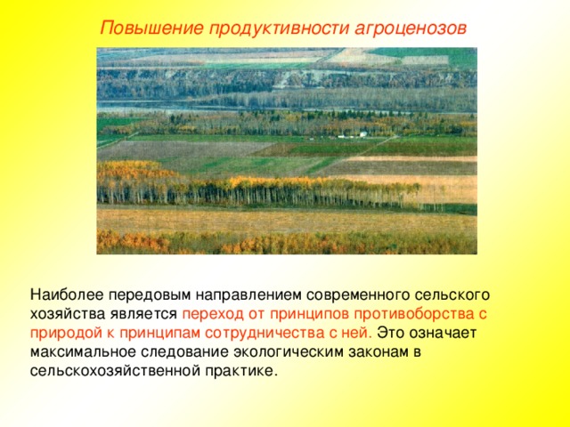 Повышение продуктивности агроценозов   Наиболее передовым направлением современного сельского хозяйства является переход от принципов противоборства с природой к принципам сотрудничества с ней. Это означает максимальное следование экологическим законам в сельскохозяйственной практике.  
