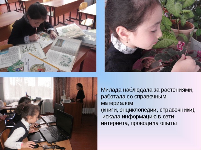Милада наблюдала за растениями, работала со справочным материалом (книги, энциклопедии, справочники),  искала информацию в сети интернета, проводила опыты 