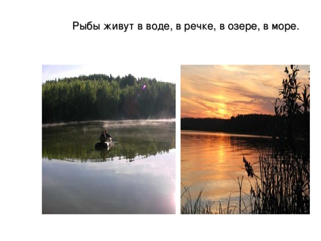  Рыбы живут в воде, в речке, в озере, в море. 