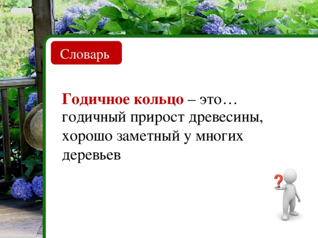 Типы ветвления стебля Симподиальное Моноподиальное Дихотомическое Используя Приложение 1, распредели правильно примеры различных типов ветвления стеблей Мхи Плауны Ель Сосна Береза Яблоня 