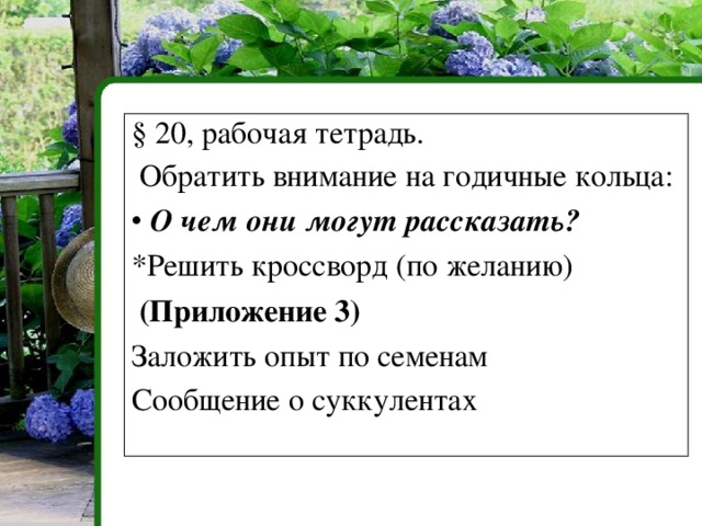 Внутреннее строение стебля Проведение веществ по стеблю 