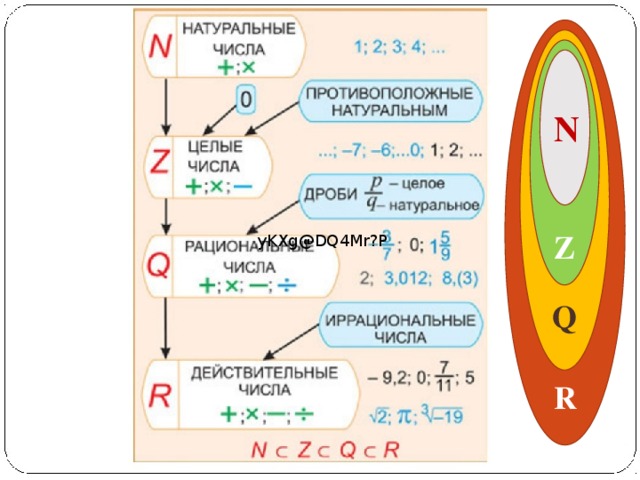 Целые и рациональные числа действительные числа презентация