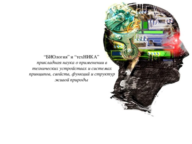 “ БИОлогия” и “техНИКА”  прикладная наука о применении в технических устройствах и системах принципов, свойств, функций и структур живой природы  
