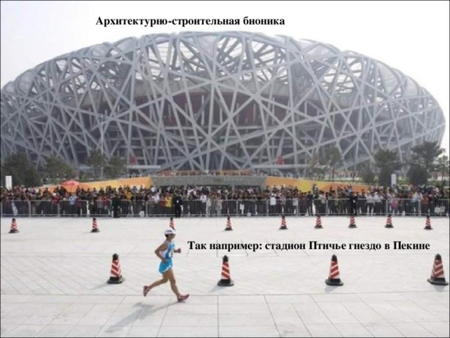 Архитектурно-строительная бионика  Так например: стадион Птичье гнездо в Пекине 
