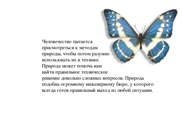 Человечество пытается присмотреться к методам природы, чтобы потом разумно использовать их в технике. Природа может помочь нам найти правильное техническое решение довольно сложных вопросов. Природа подобна огромному инженерному бюро, у которого всегда готов правильный выход из любой ситуации. 
