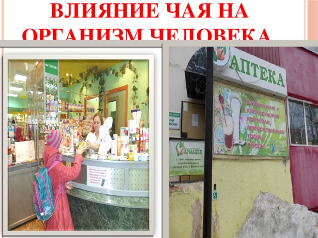 Влияние чая на организм человека 