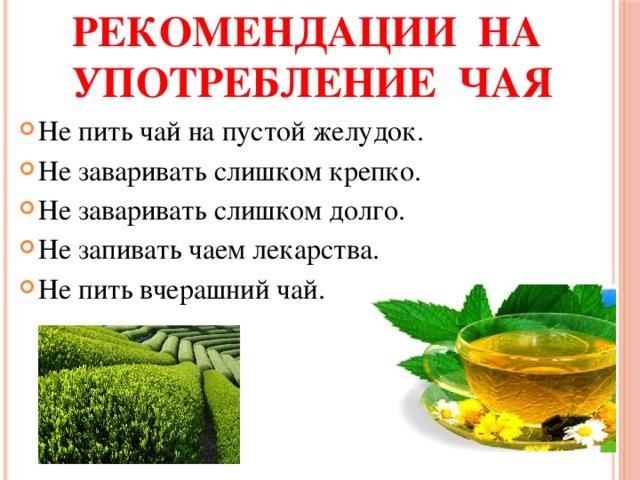 Рекомендации на употребление чая Не пить чай на пустой желудок. Не заваривать слишком крепко. Не заваривать слишком долго. Не запивать чаем лекарства. Не пить вчерашний чай.   