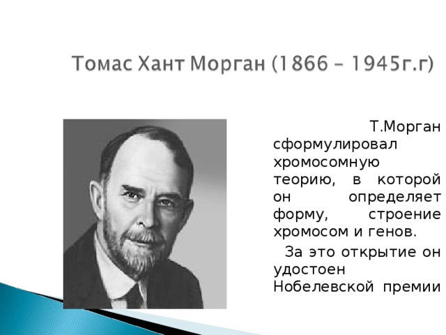  Т.Морган сформулировал хромосомную теорию, в которой он определяет форму, строение хромосом и генов.  За это открытие он удостоен Нобелевской премии 