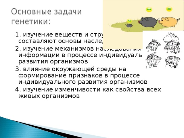  1. изучение веществ и структур, которые составляют основы наследственности  2. изучение механизмов наследования информации в процессе индивидуального развития организмов  3. влияние окружающей среды на формирование признаков в процессе индивидуального развития организмов  4. изучение изменчивости как свойства всех живых организмов 