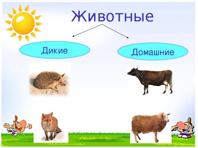 Животные Дикие Домашние 