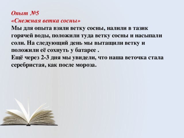 Опыт №5 «Снежная ветка сосны» Мы для опыта взяли ветку сосны, налили в тазик горячей воды, положили туда ветку сосны и насыпали соли. На следующий день мы вытащили ветку и положили её сохнуть у батарее . Ещё через 2-3 дня мы увидели, что наша веточка стала серебристая, как после мороза.  