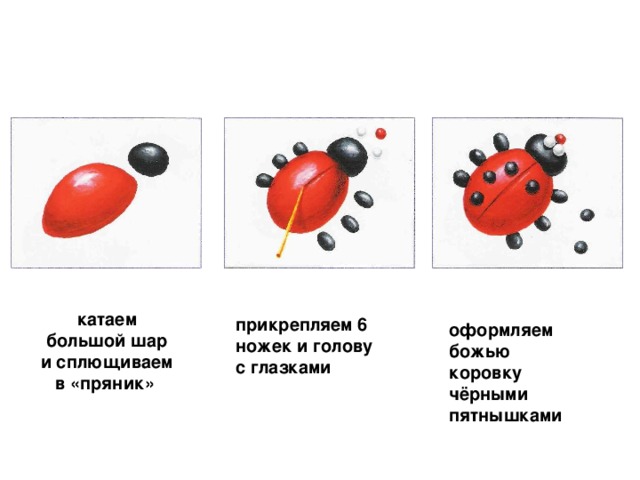 катаем большой шар и сплющиваем в «пряник»  прикрепляем 6 ножек и голову с глазками оформляем божью коровку чёрными пятнышками
