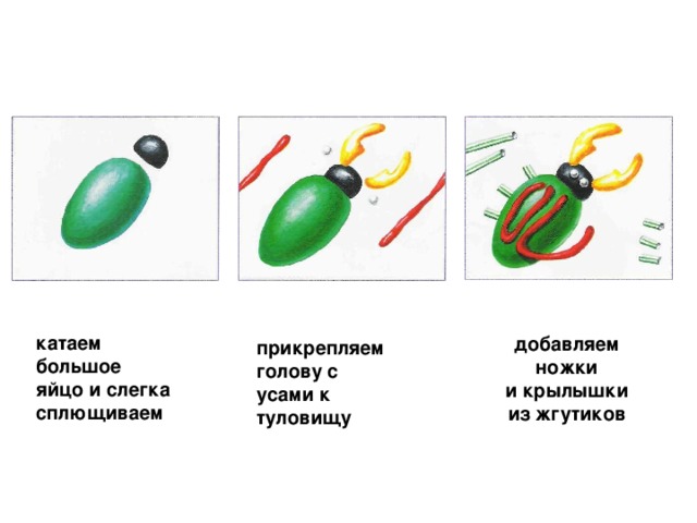 катаем большое яйцо и слегка сплющиваем  добавляем ножки и крылышки из жгутиков прикрепляем голову с усами к туловищу