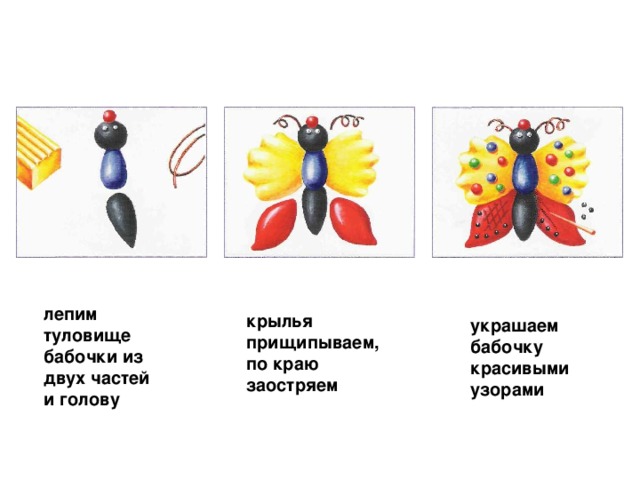 лепим туловище бабочки из двух частей и голову крылья прищипываем, по краю заостряем  украшаем бабочку красивыми узорами