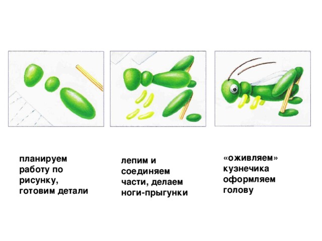 «оживляем» кузнечика оформляем голову  планируем работу по рисунку, готовим детали  лепим и соединяем части, делаем ноги-прыгунки