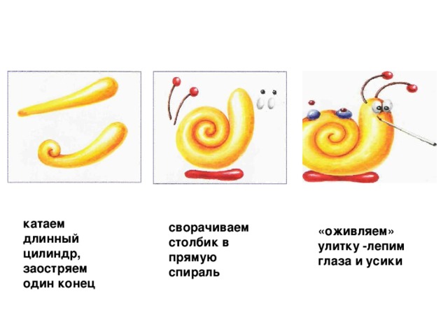 катаем длинный цилиндр, заостряем один конец сворачиваем столбик в прямую спираль «оживляем» улитку -лепим глаза и усики