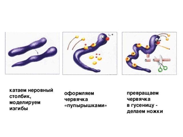 катаем неровный столбик, моделируем изгибы  превращаем червячка в гусеницу - делаем ножки оформляем червячка «пупырышками»