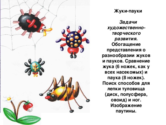 Жуки-пауки  Задачи художественно-творческого развития. Обогащение представления о разнообразии жуков и пауков. Сравнение жука (6 ножек, как у всех насекомых) и паука (8 ножек). Поиск способов для лепки туловища (диск, полусфера, овоид) и ног. Изображение паутины.