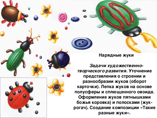 Нарядные жуки  Задачи художественно-творческого развития. Уточнение представления о строении и разнообразии жуков (оборот карточки). Лепка жуков на основе полусферы и сплющенного овоида. Оформление жуков пятнышками божья коровка) и полосками (жук-рогач). Создание композиции «Такие разные жуки».