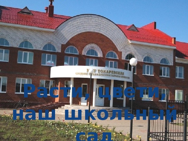 Расти, цвети, наш школьный сад 