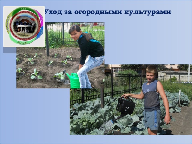 Уход за огородными культурами 