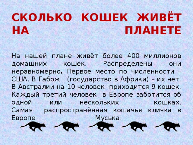 Сколько живут домашние кошки