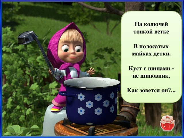 На колючей тонкой ветке  В полосатых майках детки.  Куст с шипами - не шиповник,  Как зовется он?... крыжовник 