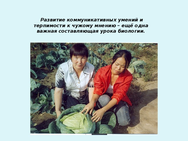  Развитие коммуникативных умений и терпимости к чужому мнению – ещё одна важная составляющая урока биологии. 