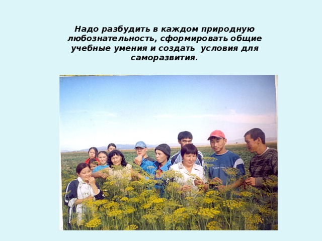 Надо разбудить в каждом природную любознательность, сформировать общие учебные умения и создать условия для саморазвития. 