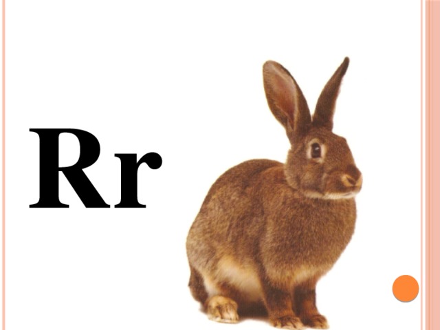 Rr 