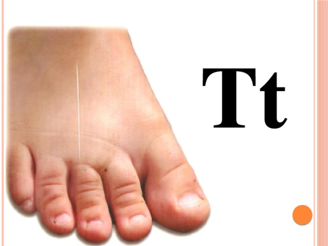 Tt 