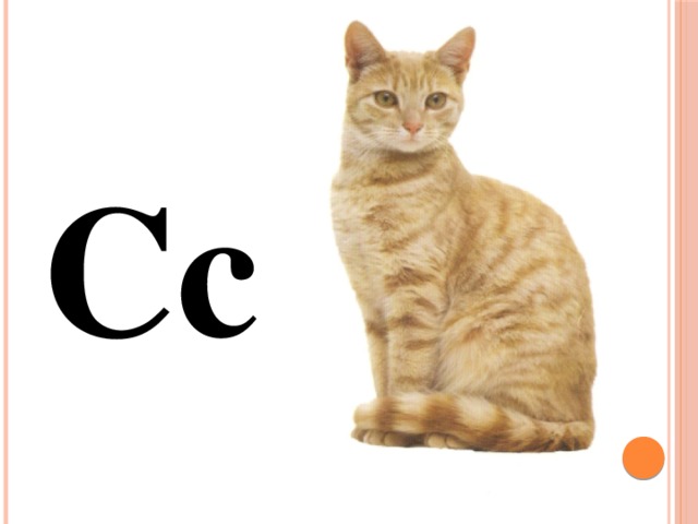 Cc 