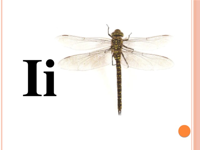 Ii 