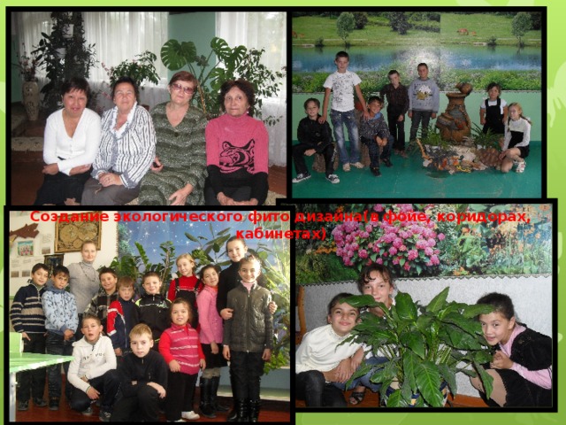 Создание экологического фито дизайна(в фойе, коридорах, кабинетах) 