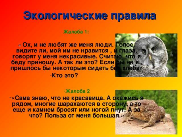 Впереди из-за куста Смотрит хитрая лиса. Мы лисицу обхитрим, На носочках побежим. На полянку мы выходим Много ягод мы находим. Земляника так видна! Мы едим ее с куста. 