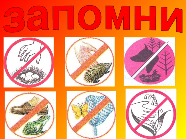 Экологические правила Жалоба 1:  « Ох, и не любят же меня люди. Голос, видите ли, мой им не нравится , и глаза, говорят у меня некрасивые. Считаю, что я беду приношу. А так ли это? Если бы не я , пришлось бы некоторым сидеть без хлеба» Кто это?  Жалоба 2 «Сама знаю, что не красавица. А окажись я рядом, многие шарахаются в сторону, а то еще и камнем бросят или ногой пнут. А за что? Польза от меня большая.»  