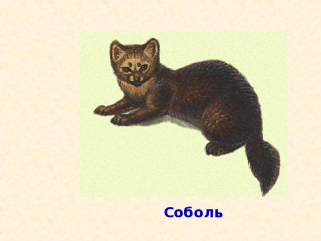 Подумай ещё! 