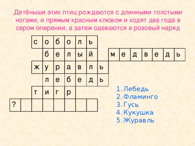 Тигр 