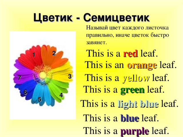 Цветик - Семицветик Называй цвет каждого листочка правильно, иначе цветок быстро завянет. This is a red leaf. 2 1 This is an orange  leaf. This is a yellow leaf. 3 7 This is a green leaf. 6 4 5 This is a light blue  leaf. This is a blue leaf. This is a purple  leaf.