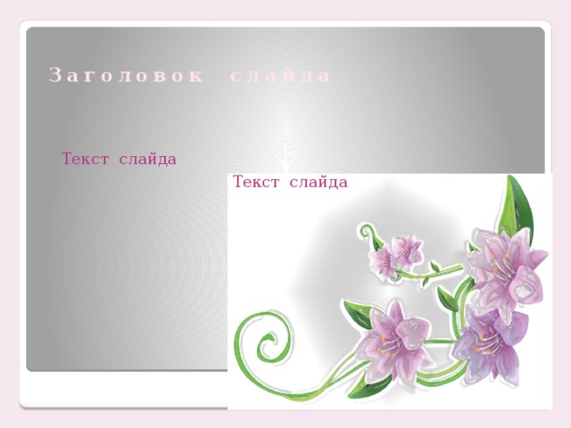 Заголовок слайда Текст слайда Текст слайда 