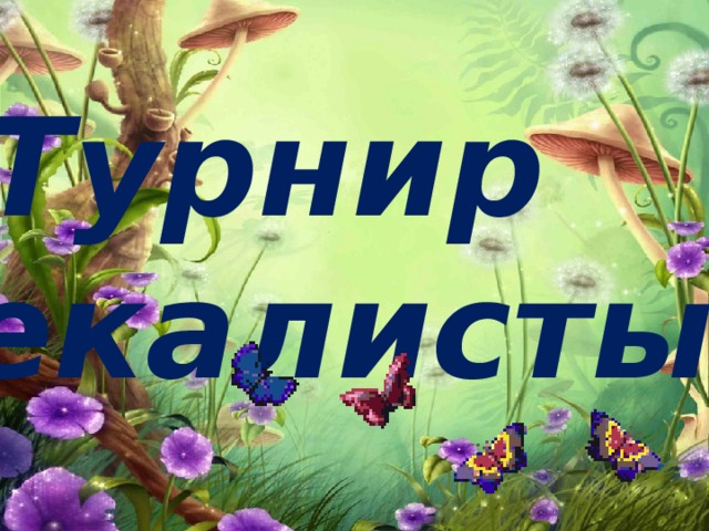 Турнир  смекалистых 