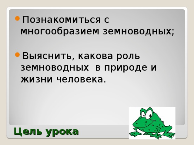 Познакомиться с многообразием земноводных; Выяснить, какова роль  земноводных в природе и жизни человека.