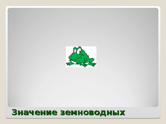 Значение земноводных