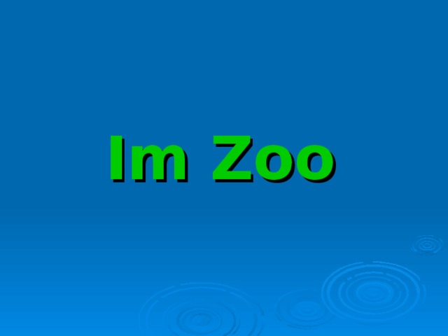 Im Zoo