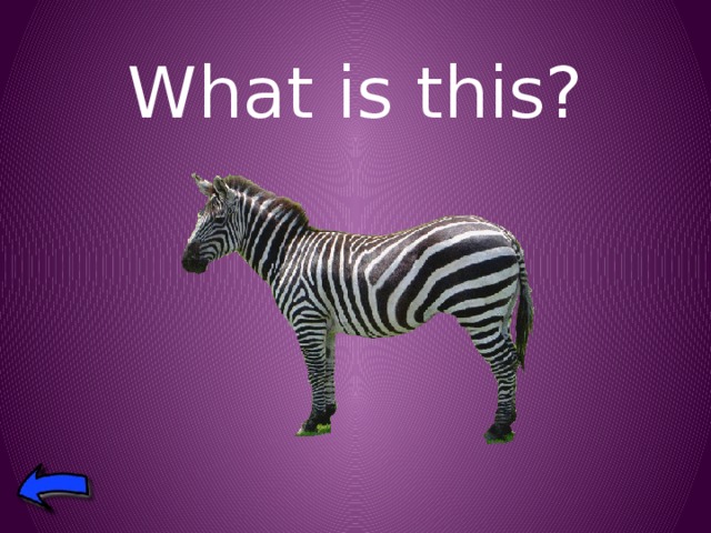 What is this? 