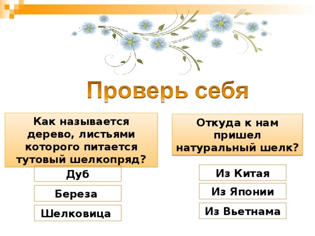 Как называется дерево, листьями которого питается тутовый шелкопряд? Откуда к нам пришел натуральный шелк? Из Китая Дуб Из Японии Береза Из Вьетнама Шелковица 
