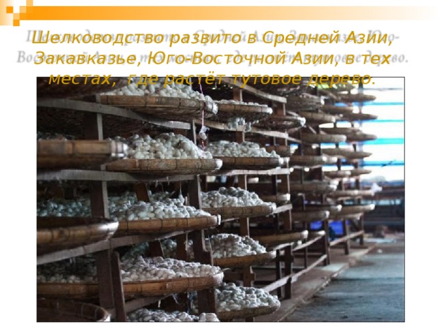 Шелководство развито в Средней Азии, Закавказье, Юго-Восточной Азии, в тех местах, где растёт тутовое дерево. 