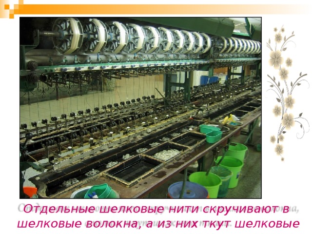 Отдельные шелковые нити скручивают в шелковые волокна, а из них ткут шелковые ткани. 