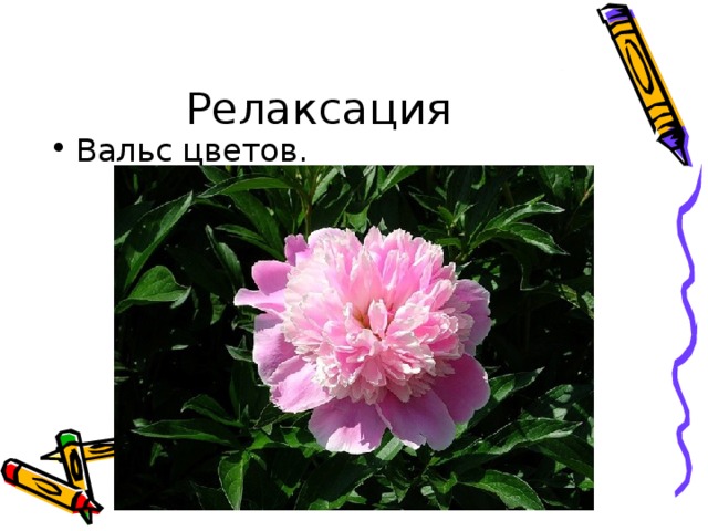 Релаксация Вальс цветов. 