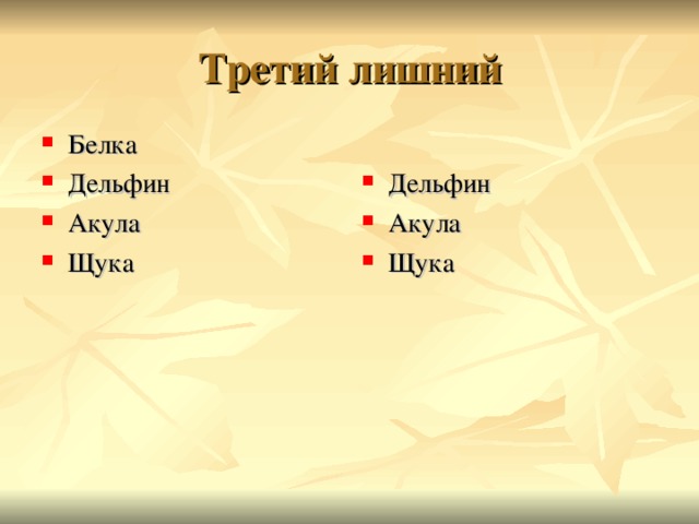 Третий лишний Белка Дельфин Акула Щука Дельфин Акула Щука  